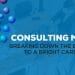 finance accounting project management consulting minnesota